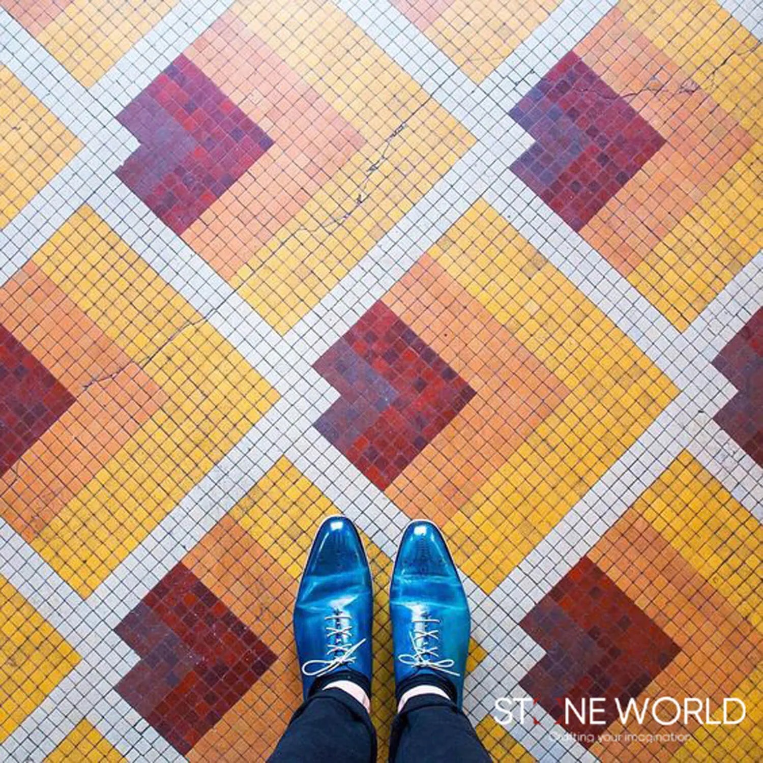 Hand Cut Carpet Mosaics sample 10 - Stone World